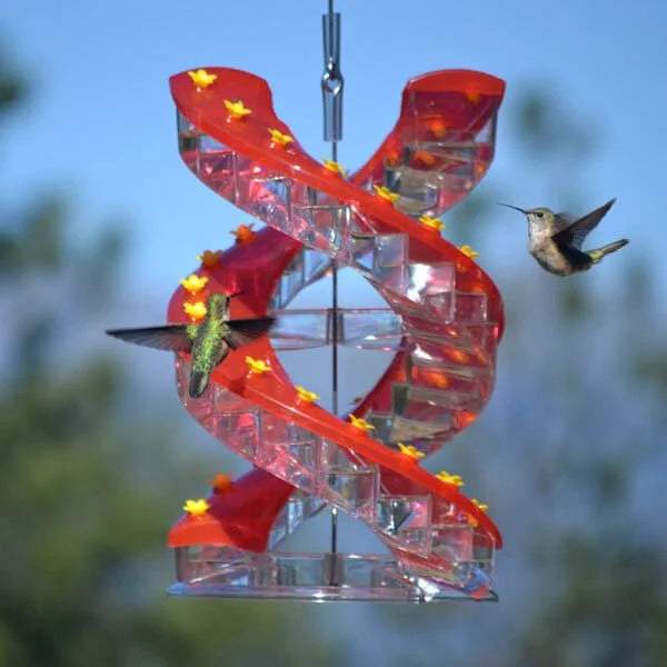 Dna Helix Hummingbird Feeder Chyhua
